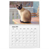 Calendrier des chats de Siamese (Jan 2027)