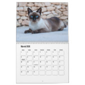 Calendrier des chats de Siamese (Mar 2026)