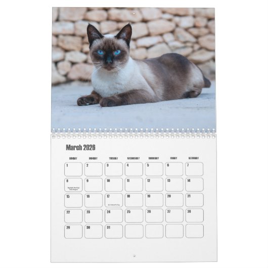 Calendrier des chats de Siamese (Mar 2026)