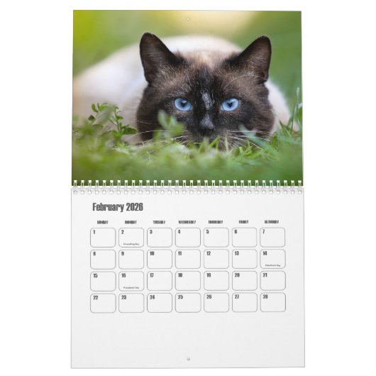 Calendrier des chats de Siamese (Feb 2026)
