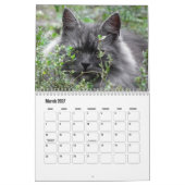 Calendrier des chats de Sibérie (Mar 2027)