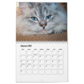 Calendrier des chats de Sibérie (Feb 2027)
