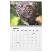 Calendrier des chats de Sibérie (Jan 2027)