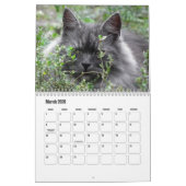 Calendrier des chats de Sibérie (Mar 2026)