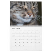 Calendrier des chats du Bengale 2025 (Mar 2026)