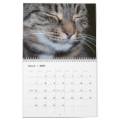 Calendrier des chats du Bengale 2025 (Mar 2027)