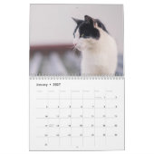 Calendrier des chats du Bengale 2025 (Jan 2027)