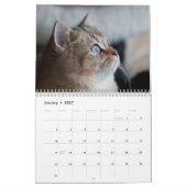Calendrier des chats du Bengale 2025 (Jan 2027)