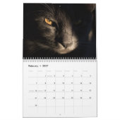 Calendrier des chats du Bengale 2025 (Feb 2027)