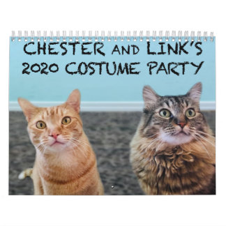 Calendrier des chats en costumes 2020