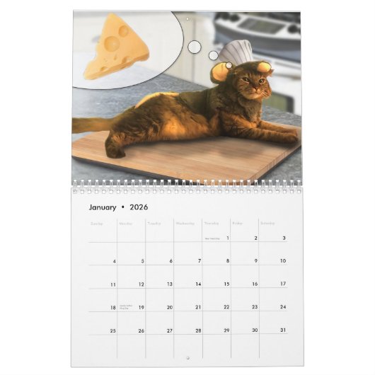 Calendrier des chats en costumes 2020 (Jan 2026)