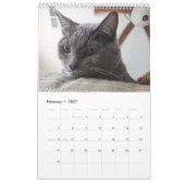 Calendrier des chats endormis (Feb 2027)