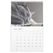 Calendrier des chats endormis (Jan 2027)