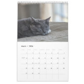 Calendrier des chats endormis (Mar 2026)