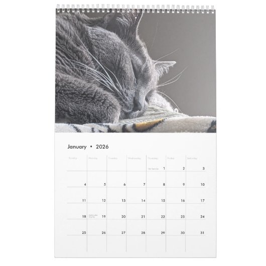 Calendrier des chats endormis (Jan 2026)