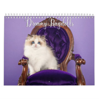 Calendrier des chats et chatons Ragdoll rêveurs