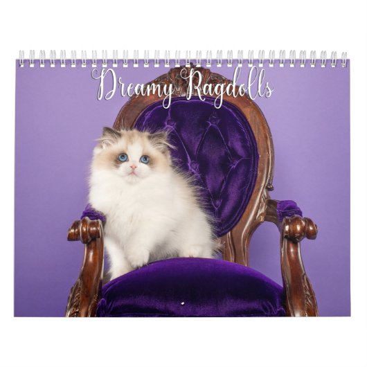 Calendrier des chats et chatons Ragdoll rêveurs (Protection)