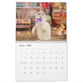 Calendrier des chats et chatons Ragdoll rêveurs (Mar 2027)