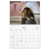 Calendrier des chats et chatons rustiques HAMbyWG (Mar 2026)