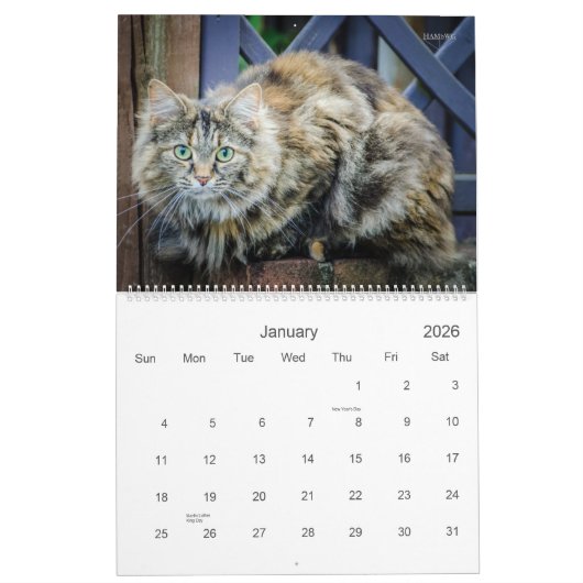 Calendrier des chats et chatons rustiques HAMbyWG (Jan 2026)