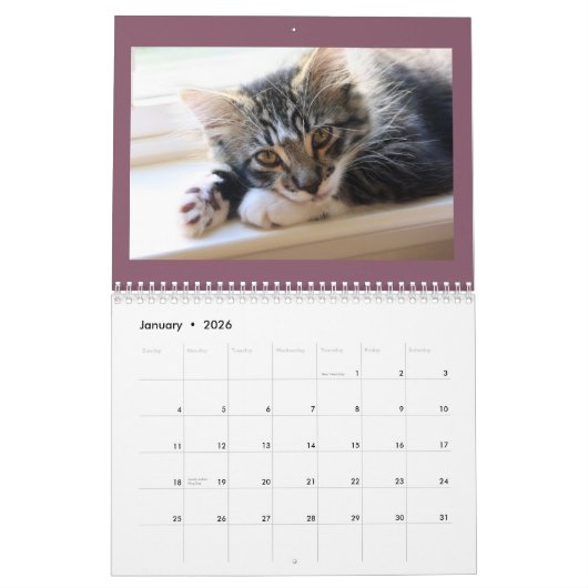 Calendrier des chats et des chiens (Jan 2026)