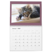 Calendrier des chats et des chiens (Jan 2027)
