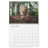 Calendrier des chats Kitty (Jan 2027)