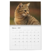 Calendrier des chats Kitty (Feb 2027)