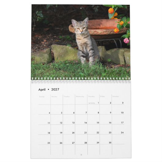 Calendrier des chats Kitty (Apr 2027)