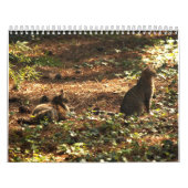 Calendrier des chats Kitty (Protection)