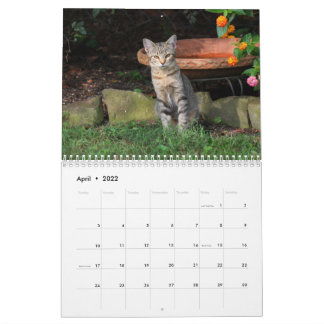 Calendrier des chats Kitty