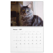 Calendrier des chats Maine Coon (Feb 2027)