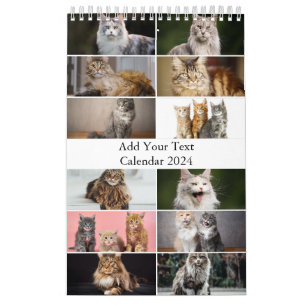 Calendrier des chats Maine Coon