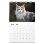 Calendrier des chats Maine Coon (Jan 2026)