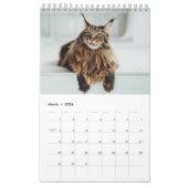 Calendrier des chats Maine Coon (Mar 2026)