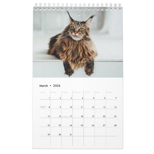 Calendrier des chats Maine Coon (Mar 2026)
