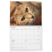 Calendrier des chats mignons (Mar 2027)