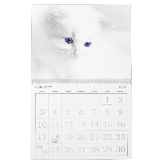 Calendrier des chats mignons (Jan 2027)