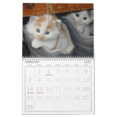 Calendrier des chats mignons (Feb 2027)