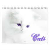 Calendrier des chats mignons (Protection)