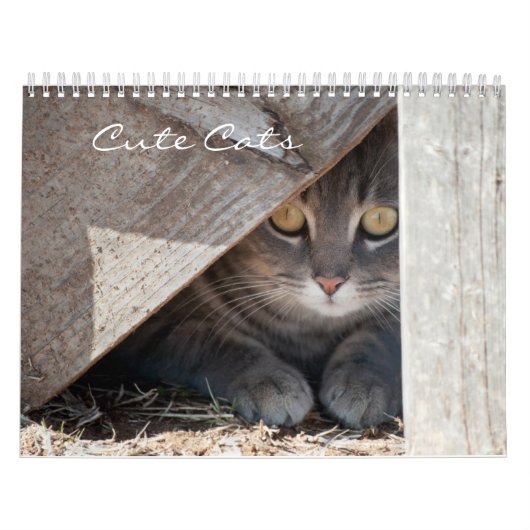 Calendrier des chats mignons (Protection)