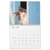 Calendrier des chats mignons (Mar 2027)