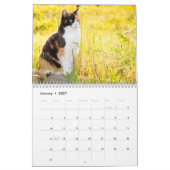 Calendrier des chats mignons (Jan 2027)