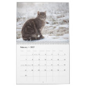 Calendrier des chats mignons (Feb 2027)