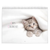 Calendrier des chats mignons (Protection)
