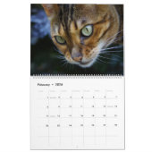 Calendrier des chats mignons (Feb 2026)