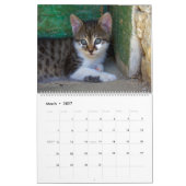 Calendrier des chats mignons (Mar 2027)