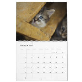 Calendrier des chats mignons (Jan 2027)