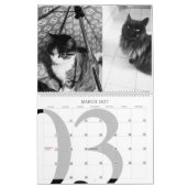 Calendrier des chats modernes 2023 (Mar 2027)