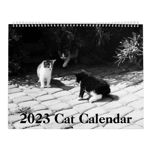 Calendrier des chats modernes 2023 (Protection)